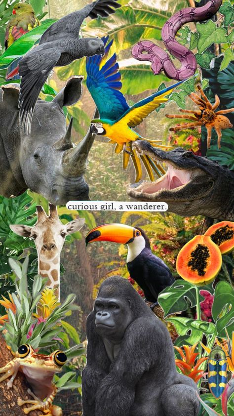 #Zoology, #animals, #jungle, #aesthetic, #wildlife, #wilderness, #forest, #animalaesthetic, #zoologyaesthetic Environment Science Aesthetic, Wildlife Photographer Aesthetic, Zoology Aesthetic Wallpaper, Animal Biology Aesthetic, Wildlife Conservation Aesthetic, Zoology Wallpaper, Zookeeper Aesthetic, Wildlife Biologist Aesthetic, Zoologist Aesthetic