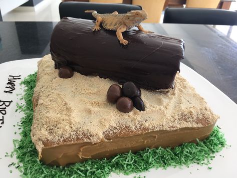 Bearded Dragon Cake Ideas, Bearded Dragon Cake, 15th Birthday Cake Ideas, Dragon Cake Ideas, Lizard Cake, Dragon Party Ideas, Diy Sharpie Crafts, 15th Birthday Cake, Funny Lizards