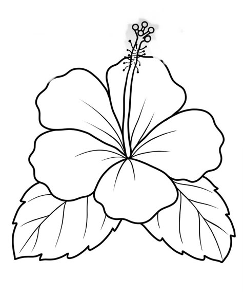 Hibiscus Embroidery Design, Drawings Of Hibiscus Flowers, Single Flower Drawing Simple, Flower Drawing Template, Hibiscus Outline Drawing, Easy Flowers Draw, Hibiscus Coloring Page, Lilly Flower Drawing Simple, Hibiscus Flower Coloring Pages