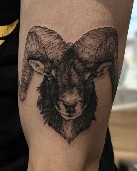 Ram Head Tattoo Design, Black Ram Tattoo, Rams Tattoo, Ram Tattoo Feminine, Black Phillip Tattoo, Ram Tattoos, Boyfriend Tattoos, Tattoo Ram, Black Sheep Tattoo