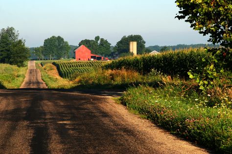 Sesh Spot, Familiar Places, Farming Life, Country Gal, Dirt Roads, Country Barns, Northern Indiana, Country Stuff, Rural Living