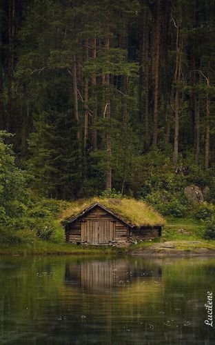 6645834_0ed94.gif (312×500) Grass Roof, Cabins And Cottages, Alam Yang Indah, Cabins In The Woods, House Boat, Scandinavia, Log Cabin, Beautiful World, In The Middle