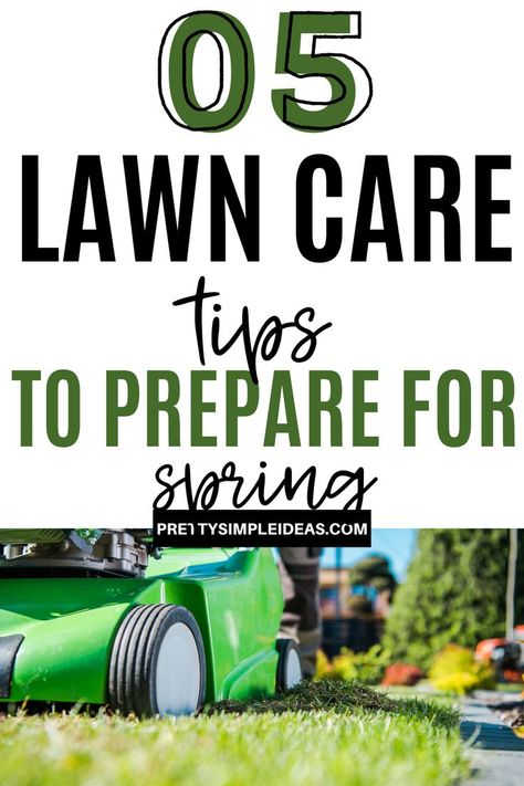 Fall Lawn Maintenance, Fall Lawn Care, Spring Lawn Care, Fall Lawn, Weeds In Lawn, Lawn Care Tips, Lawn Maintenance, Green Lawn, Easy Fall