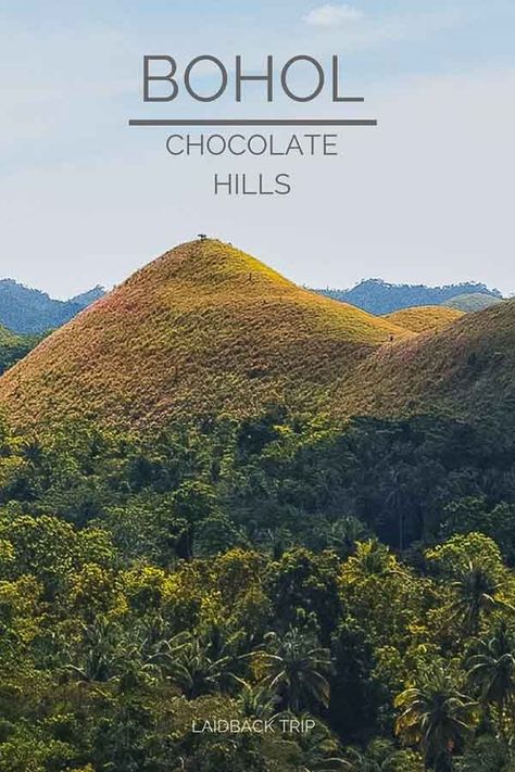 Explore what to see and do in the Bohol Island| Chocolate Hills, Tarsiers, Alona Beach, Panglao Island, Balicasag & Virgin Island | #philippines #southeastasia #bohol #tarsier #adventure Chocolate Hills Philippines, Panglao Island, Alona Beach, Chocolate Hills, Bohol Philippines, Ferry Terminal, Virgin Island, Backpacking Europe, Southeast Asia Travel