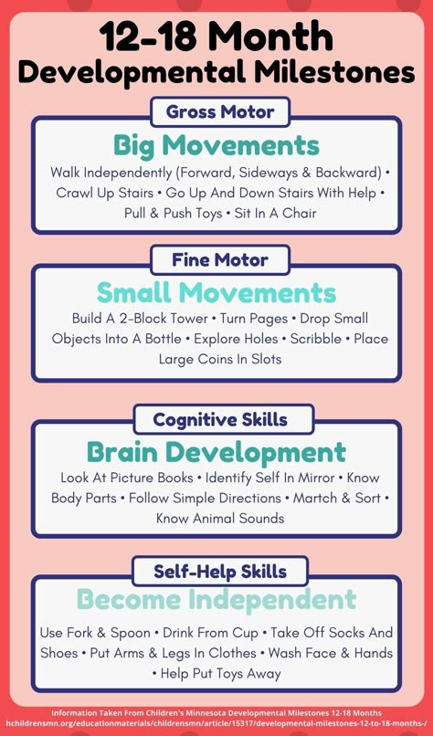 Milestones 12-24 Months, Gross Motor Activities For 12-24 Months, 12-24 Month Activities, Speech Milestones, Activities For One Year Olds, Meaningful Activities, Cognitive Activities, Math Exercises, Toddler Milestones