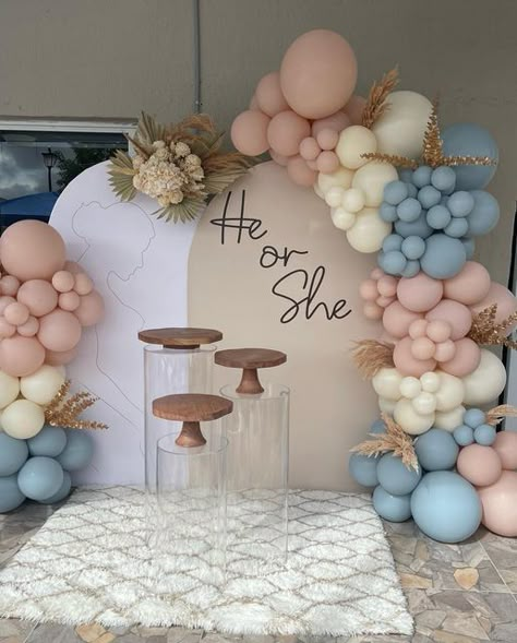 Gender Reveal Balloon Garland Ideas, Gender Reveal Easy Decorations, Backyard Gender Reveal Ideas, Gender Reveal Balloons Arch, Gender Decoration Ideas, Gender Reveal Arch Balloons, Pastel Gender Reveal Decorations, Gender Reveal Planning, Simple Gender Reveal Backdrop