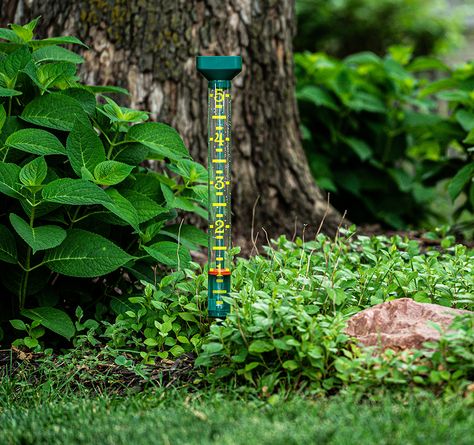 "Some people feel the rain. Others just get wet." (— Bob Marley) An EZRead Rain Gauge, available in multiple colors and an array of decorative styles, add a sense of beauty and wonder to any landscape. www.ezreadraingauges.com #beautygram #getwet #multiplecolors #wonder #bobmarley #raingauge #rains #stylecraft #landscapelove #EZRead Rain Gauges, Decorative Styles, Rain Gauge, Bob Marley, Large Prints, The Rain, Some People, Bright Colors, Float