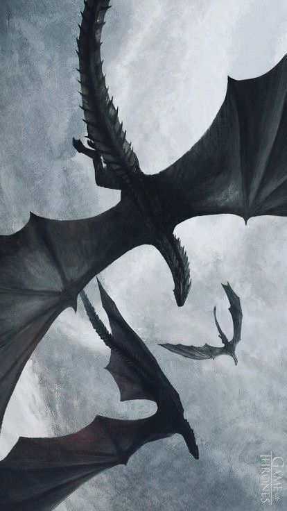 Wyvern Aesthetic, Hotd Dragon Wallpaper, Dragon Background Aesthetic, Wyvern Wallpaper, Drogon Game Of Thrones Wallpaper, Dragon Astethic, Dragon Aesthetic Wallpaper, Tairneanach Fourth Wing, Dragon Wallpaper Aesthetic