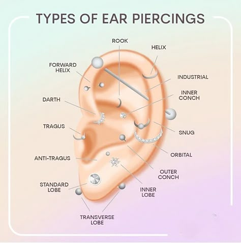 tendy Jewelry Collection Ear Piercings Locations, Different Types Of Piercings Ears, Type Of Piercings Ears, Types Of Piercings Ears Chart, Ear Piercings Chart Placement, Dainty Ear Piercing Ideas, Nom Piercing Oreille, Ear Mapping Piercing Ideas, All Ear Piercings Names