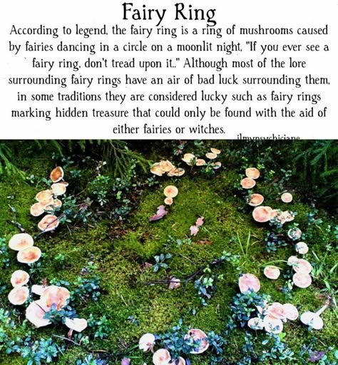 Irish Mythical Creatures, Faery Magick, Fairies Mythology, Fairy Rings, Woodland Fairy Party, Fairy Circle, Irish Fairy, Faerie Garden, Money Spells That Work