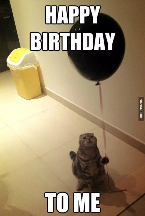 My Birthday Pictures, Birthday To Me Quotes, Happy Birthday To Me Quotes, Birthday Girl Quotes, Birthday Quotes For Me, 9gag Funny, Birthday Captions Instagram, Happy Birthday Quotes Funny, Happy Birthday Wallpaper