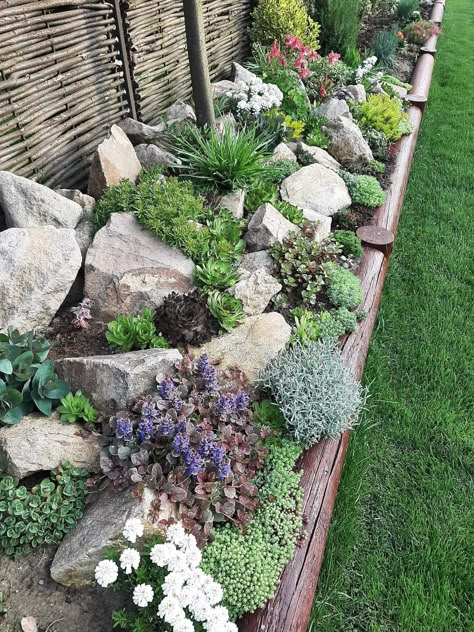 Rockery Garden, Rock Garden Design, Yard Landscape, Garden Decor Ideas, Apartment Patio, Rock Garden Landscaping, Farmhouse Front, Have Inspiration, Garden Yard Ideas