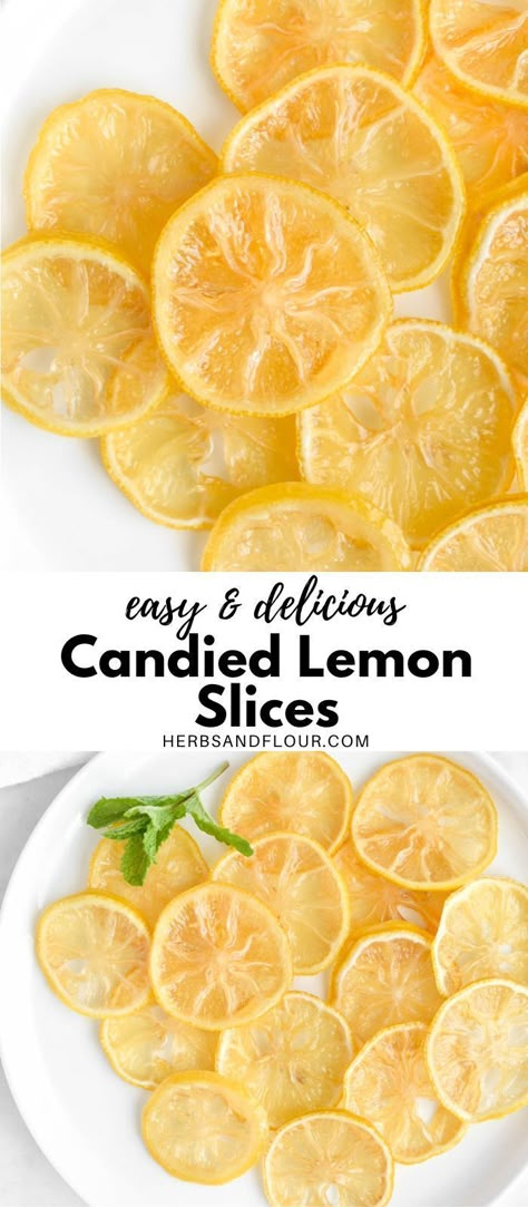 Hot Water With Lemon, Hot Water And Lemon, Candied Lemon Slices, Lemon Water Health Benefits, Benefits Of Drinking Lemon Water, Lemon In Water, Water With Lemon, Lemon Juice Benefits, Candied Lemon Peel