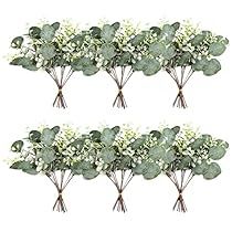 Wedding Bouquet Green, Mixed Eucalyptus, Bouquet Green, Green Wedding Bouquet, Eucalyptus Stems, Eucalyptus Bouquet, Dollar Eucalyptus, Feuille Eucalyptus, Silver Dollar Eucalyptus