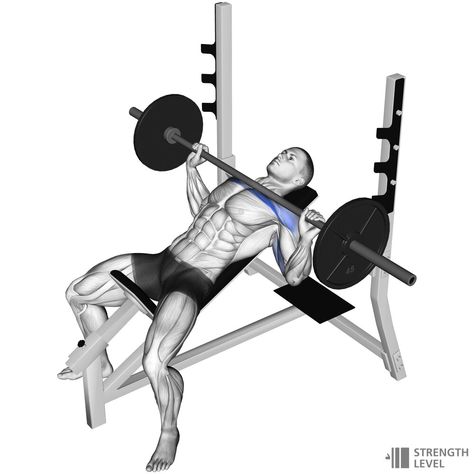 Incline Bench Press, Bench Press Workout, Free Workout Plans, Push Workout, Best Chest Workout, Push Day, Incline Bench, Gym Workouts For Men, Exercise Videos