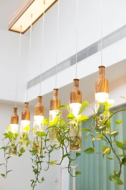 Growing Food Indoors, Lamp Planters, Hanging Gardens, Small Backyard Gardens, Living Modern, House Plants Decor, Backyard Garden Design, Plant Lighting, Diy Hanging