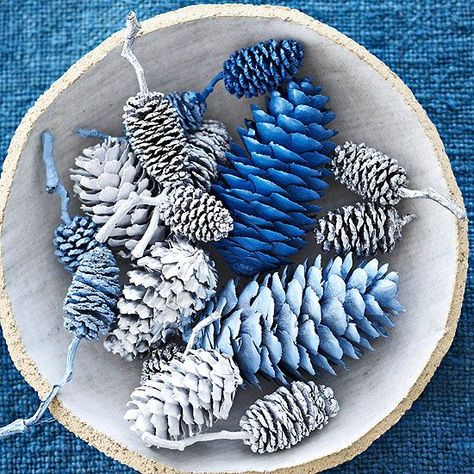 blue and white pinecones for Christmas decoration Silver And Blue Christmas Tree, Silver And Blue Christmas, Diy Plant Stands, House Decor Ideas, Fall And Christmas, Simple Holiday Decor, Painted Pinecones, Blue Christmas Decor, Silver Christmas Decorations