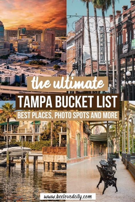 Macdill Afb Tampa Florida, Free Things To Do In Tampa Florida, Things To Do Near Tampa Florida, Tampa Things To Do, Busch Gardens Tampa Outfit, Things To Do In Tampa Florida, Tampa Florida Things To Do In, Tampa Outfits, Things To Do In Tampa