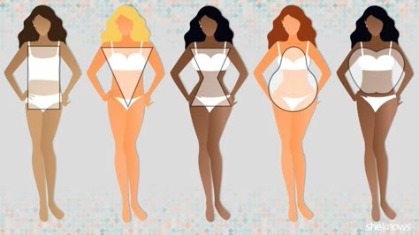 Women's Body Types: Find Out Which Body Shape You Are All Body Types, Types Of Body Shapes Women, Body Types Women Shape, Different Body Types Women, Body Shape, Normal Body Type Women, Different Body Types, Body Types Chart, Body Shape Chart