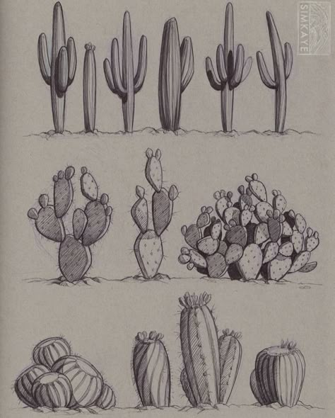 Desert Drawing, Desert Tattoo, Plant Sketches, Pen Sketches, Cactus Tattoo, Cactus Drawing, Western Tattoos, Sketch Ink, Interior Sketch