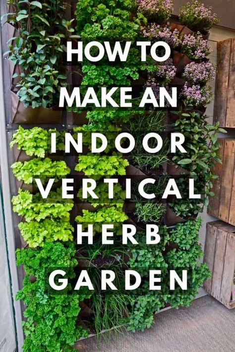 Vertical Herb Gardens, Herb Garden Wall, Funny Vine, Outdoor Herb Garden, Herb Wall, Vertical Garden Indoor, Vertical Garden Wall, Vertical Herb Garden, Vertical Garden Diy