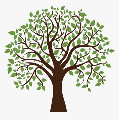 Family Tree Background, Family Tree Images, Family Tree Clipart, Family Tree Designs, Family Tree Art, Family Tree Genealogy, Tree Clipart, Tree Logo, Tree Images