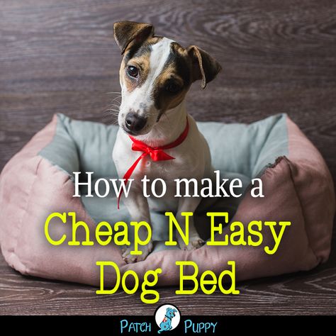 Dog Lovers- How to make a Cheap N Easy Dog Bed Free Dog Bed Pattern, Diy Dog Bed For Small Dogs Easy, Homemade Dog Beds For Large Dogs Diy, Diy Dog Beds For Large Dogs Easy Ideas, Dog Bed Patterns Free, How To Make A Dog Bed, Diy Dog Beds For Small Dogs, Diy Puppy Bed, Make Dog Bed