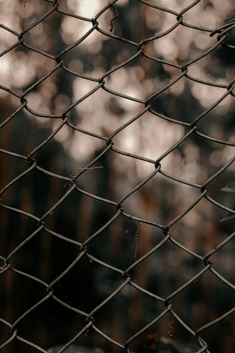 Chain Fence, Stacys Mom, Close Up Photo, Photography Course, Jersey Boys, Natural Background, Chain Link Fence, Photography Courses, The Chase