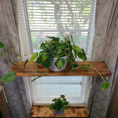 "Hang on the wall or use it as a window shelf to give your plants direct sunlight! These shelf are all hung by natural Jute cord, with a hanging length of about 3 feet. This makes it easy to hang and makes it easily adjustable for your needs. This functional hanging shelf is the prefect addition to any room. All shelves are burnt on both sides and polyurethaned for water resistance and easy clean. Easily hang from a ceiling hook, anchor with screw for wall hanging, or other hanging brackets. (NO Window Sill Plants, Window Shelf For Plants, Shelving Decor, Window Plant Shelf, Hanging Rope Shelves, Shelf Window, Rope Shelf, Garden Therapy, Window Plants