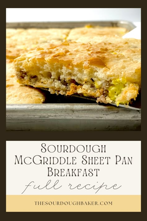 Full recipe + video detailing how to make this McGriddle Sheet Pan Sourdough Breakfast. This recipe uses an entire three cups of sourdough discard to make the pancake portion of this breakfast! With just five ingredients - discard, milk, maple syrup, baking soda, and salt - and your choice of prepared fillings, this easy discard recipe comes together extremely quick and will be a winner for the whole family. Sourdough Breakfast Bake, Pancake Sourdough Discard, Sourdough Egg Bites, Sourdough Discard Sheet Pan Pancakes, Sourdough Breakfast Recipes Healthy, Easy Sourdough Discard Breakfast, Sourdough Discard Breakfast Casserole, Discard Sourdough Breakfast Recipes, Sourdough Discard Breakfast Ideas