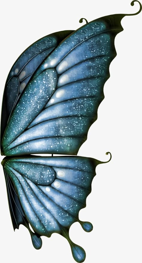 Fairy Wings Drawing, Butterfly Wings Art, Wings Png, Angel Wings Art, Butterfly Art Painting, Wings Drawing, Ange Demon, Wings Art, Butterfly Clip Art