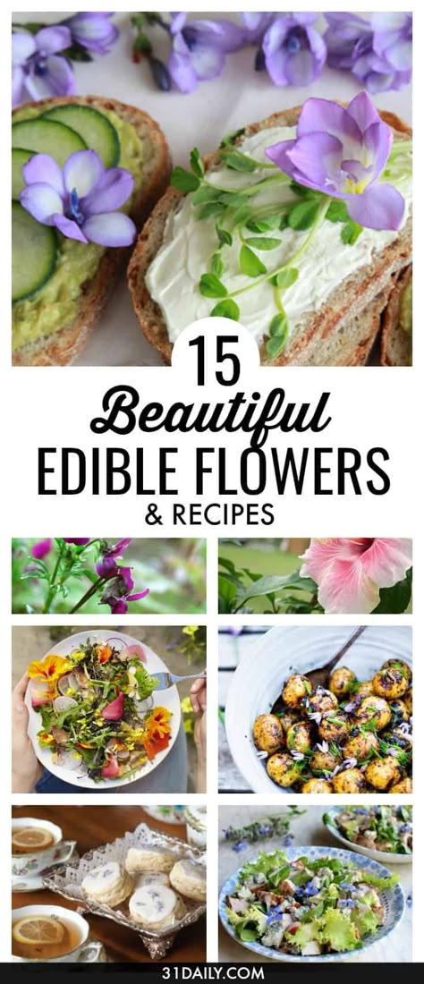 Brighten up spring and summer dishes for Afternoon Tea, showers, brunches and entertaining with these gorgeous edible flowers. Plus recipe ideas on how to use them. 15 Beautiful Edible Flowers to Brighten Your Dishes | 31Daily.com Garden Party Astethic, Candied Edible Flowers, Editable Flowers, Fairy Flower Garden, Eatable Flowers, Drink Garnishes, Edible Flower Garden, Flowers Recipes, Floral Food