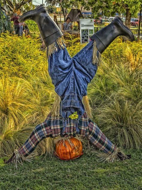 Scarecrow Decorations, Scarecrow Ideas, Scarecrow Festival, Make A Scarecrow, Fall Yard Decor, Scarecrows For Garden, Diy Scarecrow, Scare Crow, Fall Yard