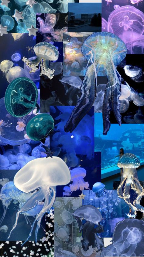 Fish Theme, Theme Dress, Jelly Fish, Fishing Theme, Jellyfish, Nyx, Mood Boards, Jelly, Fish