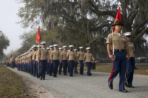 Marines with India Company, 3rd Recruit Training Battalion, graduated from recruit training at Marine Corps Recruit Depot Parris Island, S.C., on March 29. India Company is the first combined company of male and female recruits to graduate from recruit training. (U.S. Marine Corps photo by Cpl. Vivien Alstad) Marine Bootcamp Graduation, Marine Bootcamp, Usmc Graduation, Marine Corps Bootcamp, Marine Graduation, Fantasy Tools, Marine Core, Camp Schedule, Marines Boot Camp