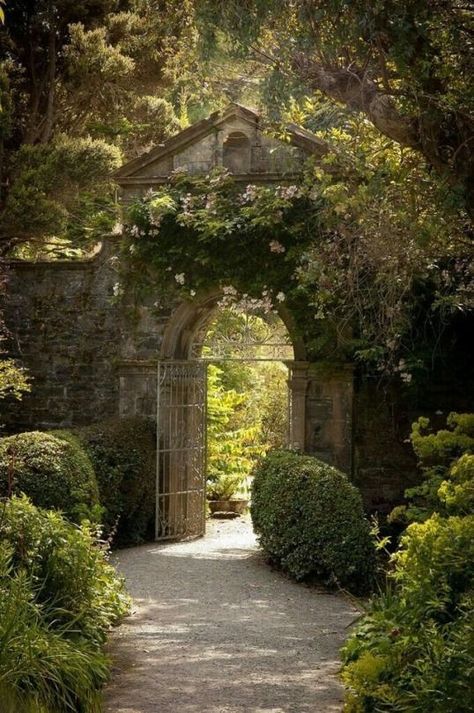 Irish Garden, Path Ideas, Flowers Growing, Secret Gardens, The Secret Garden, Garden Path, Garden Gate, Glass Garden, Ideas Garden