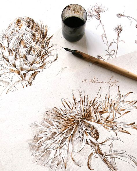 Sepia Pen Drawing, Sepia Ink Drawing, Ink Nature Drawing, Botanical Ink Drawing, Ink Drawings Nature, Dip Pen Art, Pen And Watercolor Art, Dip Pen Drawing, Pen And Ink Sketches