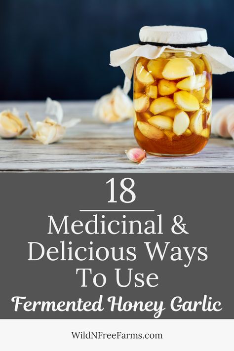 fermented garlic honey uses Garlic Honey Medicine Recipe, Fermented Honey Recipes, Garlic Onion Honey Medicine, Honey Sore Throat Remedy, Honey Fermented Garlic, Garlic And Honey Benefits, Medicinal Tea Recipes, Fermented Honey Garlic, Fermented Garlic Honey