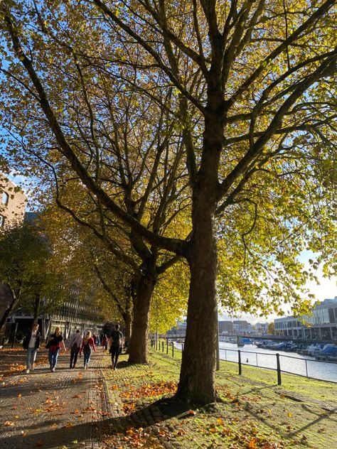 Autumn autumnal bristol trees colour yellow leaves seasonal season festive aesthetic nature beautiful river canal bristol england uk Autumn In England United Kingdom, Bristol England Aesthetic, Bristol Uk Aesthetic, Bristol University Aesthetic, Bristol Aesthetic, Romanticising Autumn, University Goals, Skins Vibes, Uwe Bristol