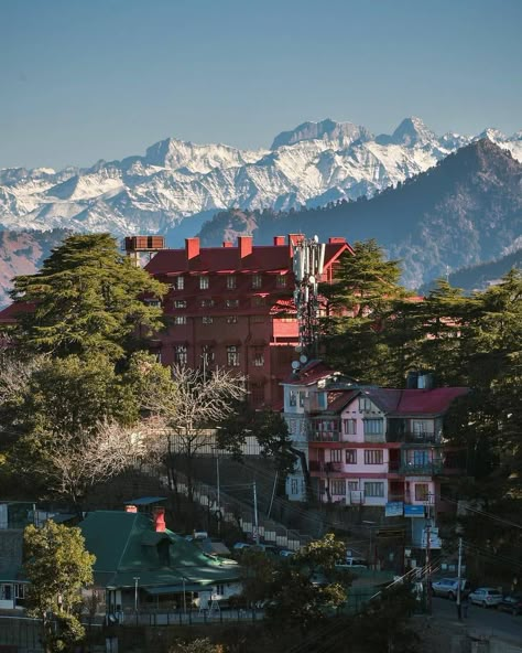 Shimla Aesthetic Photos, Shimla Aesthetic, Shimla Photography, Beautiful Beaches Paradise, India Places, Himalayas Mountain, Mountains Aesthetic, Travel Infographic, Nainital