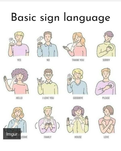 Basic Sign Language, English Sign Language, Disabilities Activities, Simple Sign Language, Asl Sign Language Words, Asl Alphabet, Sign Language Chart, Aomine Kuroko, Sign Languages