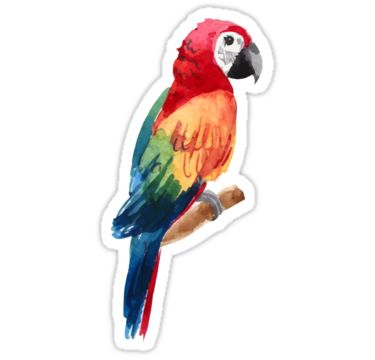 Parrot Sticker, Homemade Stickers, Bubble Stickers, Tumblr Stickers, Stickers Cool, Hydroflask Stickers, Sticker Packs, Stickers For Sale, Animal Stickers