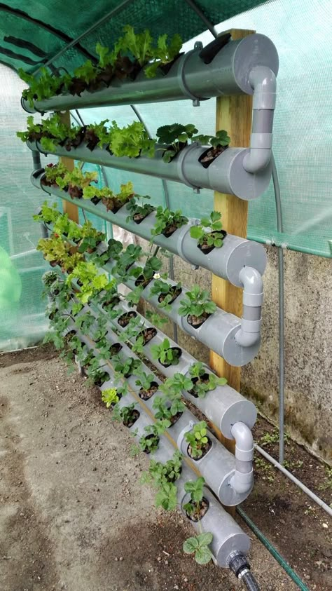 Hydroponic Gardening Diy, Aquaponics Greenhouse, Porch Landscaping, Aquaponics Diy, Hydroponic Farming, Hydroponics Diy, Aquaponic Gardening, Front Garden Landscape, Hydroponic Growing