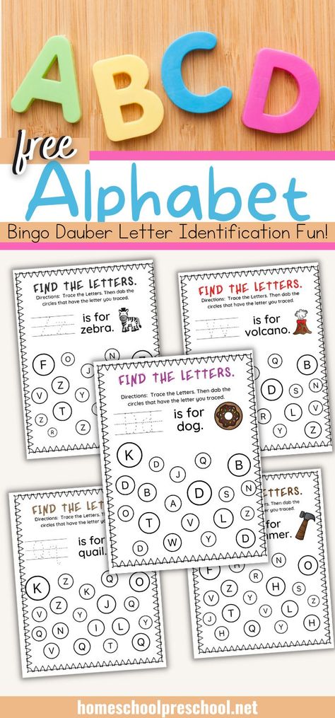 These alphabet bingo dauber worksheets are perfect for having young children practice letter recognition. #alphabetworksheets #dotmarkerpages #letterrecognition #homeschoolprek Free Printable Abc Letters, Alphabet Bingo, Letter Recognition Games, Letter Recognition Worksheets, Free Printable Alphabet, Bingo Dauber, Teaching Boys, Free Homeschool Resources, Letter Games