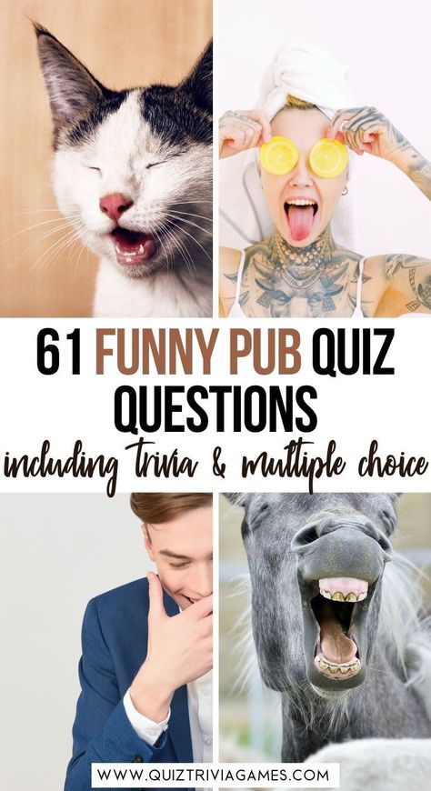 Family Quiz Questions, Trivia Questions For Adults, Funny Trivia Questions, Funny Quiz, Funny Quiz Questions, Pub Quiz Questions, Pub Quizzes, Family Quiz, Fun Quiz Questions