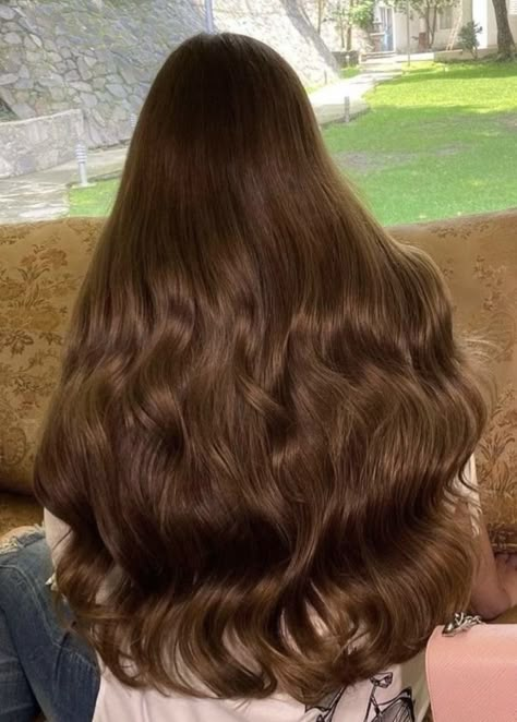 Rich Brown Hair Aesthetic, Golden Chocolate Hair, Hair Colour Aesthetic Ideas, Long Chestnut Hair, Level 4 Hair Color Brown, Goldish Brown Hair Color, Chocolate Brown With Golden Highlights, Warm Burnett, Brown Hair Shades Chart