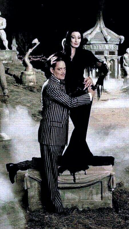 Adams Family Costume, Raul Julia, Morticia And Gomez Addams, Addams Familie, Charles Addams, Gomez And Morticia, Gomez Addams, Anjelica Huston, Morticia Addams