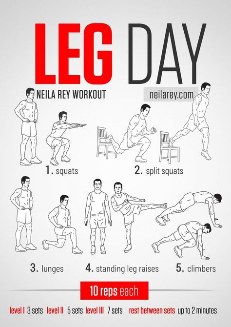 Inner Leg Workout, Neila Rey Workout, Exercises For Men, Best Leg Workout, Body Weight Leg Workout, Leg Day Workouts, Body Weight Training, Workout Chart, Toning Workouts