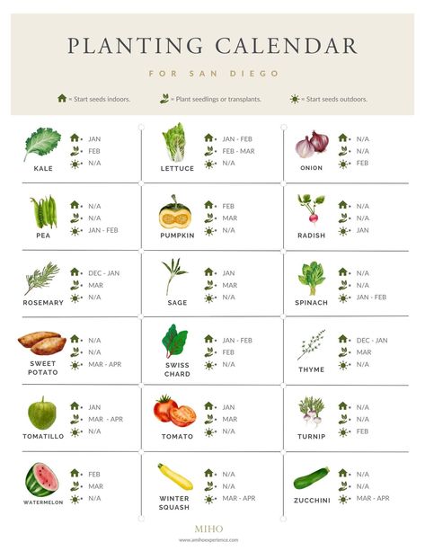 San Diego Spring Garden Planting Calendar — MIHO Fruit Planting Calendar, Garden Calendar Vegetable, Plant Infographic Design, Seed Planting Calendar, Garden Planting Guide, Garden Schedule, Gardening Infographic, Spring Vegetable Garden, Gardening Calendar