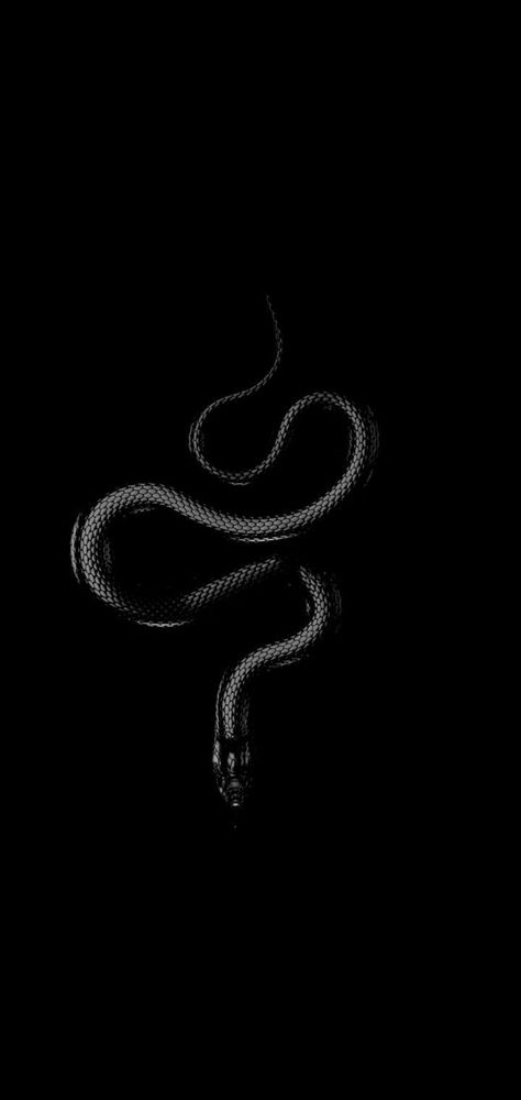 Snake Core, Black Paper Background, Slytherin Vibes, Cobra Art, Pretty Snakes, Cute Owls Wallpaper, Snake Wallpaper, Female Face Drawing, Goth Wallpaper